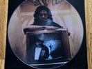 The Doors Picture Disc The End vinyl LP Record Pls Read