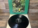 JAZZ SAMBA R.Van Gelder WALTER WANDERLEY RAIN FOREST VERVE V6-8658 1966 LP Nm