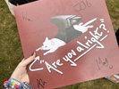 RARE SIGNED Lovejoy Are You Alright /Pebblebrain LP vinyl
