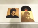 TRACY CHAPMAN SELF TITLED S/T DEBUT LP 1988 1ST PRESS ELEKTRA w/ FAST CAR LYRICS