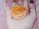 MADONNA  BEDTIME STORY 12'' VINYL MAXI SINGLE RECORD NEW SEALED 1995