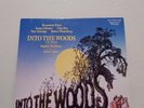Into the Woods-Broadway Cast Vinyl LP Stephen Sondheim/Bernadette Peters Used VG
