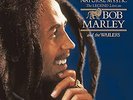 Bob Marley and The Wailers - Natural Mystic (The Legend Lives On) / VG+ / LP, Co