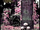 NEW NECROS CHRISTOS Domedon Doxomedon 3x LP BOX SET Venenum Mgła Teitanblood