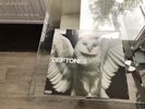 DEFTONES -Diamond Eyes Black Vinyl