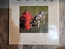 Rush - Signals - VG++/VG 1982 Prog Rock Mercury SRM-1-4063 Sleeve 1ST Press (72)
