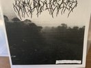 Carved Cross - Endless Internment Of Effigies Pt. III Vinyl LP