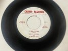 The Roulettes 1958 WHITE DOO WOP 45 I See A Star / Come On Baby CHAMP VG++ HEAR