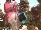 J.J. Cale Naturally NEAR MINT Music On Vinyl Vinyl LP