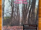 Twink – Think Pink – Debut Prog Rock-Psych Rock Vinyl LP – RE w/Insert