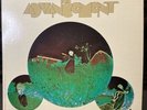The Advancement Self Titled  1970 Stereo LP PHS 600-328 Mono