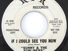 Nor Soul 45 rpm SUNNY & The SUNLINERS If I Could See You Now RPR 105 wlp VG-