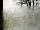 For Emma Forever Ago - Bon Iver - Record Album, Vinyl LP