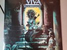 VIVA What The Hell Is Going On  Vinyl 1981