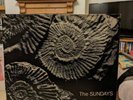 READING, WRITING & ARITHMETIC by THE SUNDAYS. VERY RARE VINYL ALBUM.