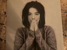 BJORK DEBUT 1st 5000 PRESS UK 1993 Vinyl LP One Little Indian Label TPLP31
