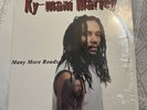 Ky-mani Marley Many More Roads 12” Vinyl
