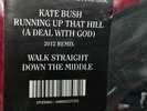 KATE BUSH - Running Up That Hill - 2012 Record Store Day 10” Picture Disc - Rare