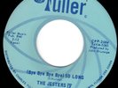 Near Mint FLORIDA GARAGE 45 - JESTERS IV on CFP FULLER - HEAR