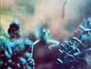 STEELY DAN - KATY LIED - BLACK LABEL - LP UK 1975 - ABCL 5094 - NM/NM