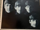 The Beatles Meet the Beatles Excellent Vinyl MONO