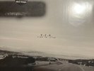 R.E.M. : E-bow the letter. US original 12