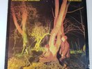 Echo & The Bunnymen - Crocodiles - Vinyl LP UK 1st Press 1980 A-1/B-1 EX/EX+