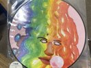 Black Moth Super Rainbow - Dandelion Gum - Graveface LP ELECTRONIC PIC DISC