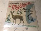 Sufjan Stevens Michigan University/State AKR BLUE GREEN COLOR 2LP Vinyl Records