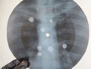 BLACK SABBATH WICKED WORLD X-Ray USSR Record Roentgen Bone Ribs Music Vinyl