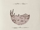 Gregory Alan Isakov - Appaloosa Bones - FOLK *SEALED/COLOR*