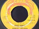 Ernest Wilson 