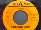 Joe D. Johnson Rattlesnake Daddy ACAME 47 Rockabilly Rocker 45pm