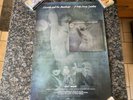 Punk rare 7” Siouxsie And The Banshees Hong Kong Garden RSD 2014 Promo Poster
