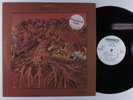 FEVER TREE For Sale AMPEX LP NM wlp h
