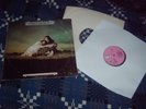 John & Beverley Martyn – Stormbringer - Original UK Vinyl LP 1970 (Pink Island)