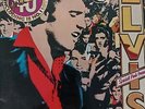 Elvis Presley 40 Greatest Hits Vinyl Record Special Pink Pressing RCA Double LP