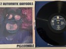 NEW FAST AUTOMATIC DAFFODILS : Pigeonhole 12