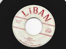 DOOWOP TEEN 45 - TONY CAPRI  &  GROUP -  SANDY  -  HEAR  1961 OHIO  LIBAN