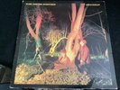 Echo And The Bunnymen - Crocodiles 1980 Vinyl      ( Rare Korova Label)