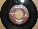 ORCHIDS Good Gully  SOFT SHADOWS Doo Wop R&B 45 on WALL 549