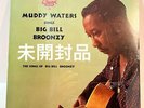 Muddy Waters/Sings Big Bill Broonzy Lp Record