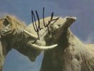 Slo Burn Amusing The Amazing First Press 10'' EP Autographed John Garcia Kyuss