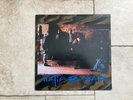 Matia Bazar _ Dove Le Canzoni Si Avverano _ Vinile LP 33giri 12