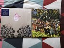 Devendra Banhart Cripple Crow & Smokey Rolls Down The Mountain Vinyl Records...