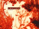 Oceansize - Effloresce (Vinyl 2LP - 2003 - EU - Reissue)