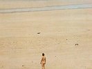Jean-Claude Vannier - L'Enfant Assassin Des Mouches (NEW 12