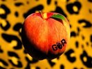 GORILLA RIOT - PEACH   VINYL LP NEW SEALED -RARE BLUES ROCK