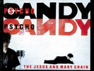 The Jesus And Mary Chain – Psychocandy - LP  made in Yugoslavia