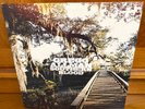 Gregg Allman Southern Blood colored vinyl record LP Gatefold Super Nice EX++/NM-